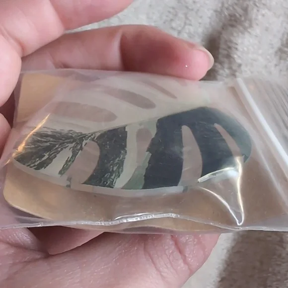 monstera Leaf-Shaped pop socket - Picture 3 of 3